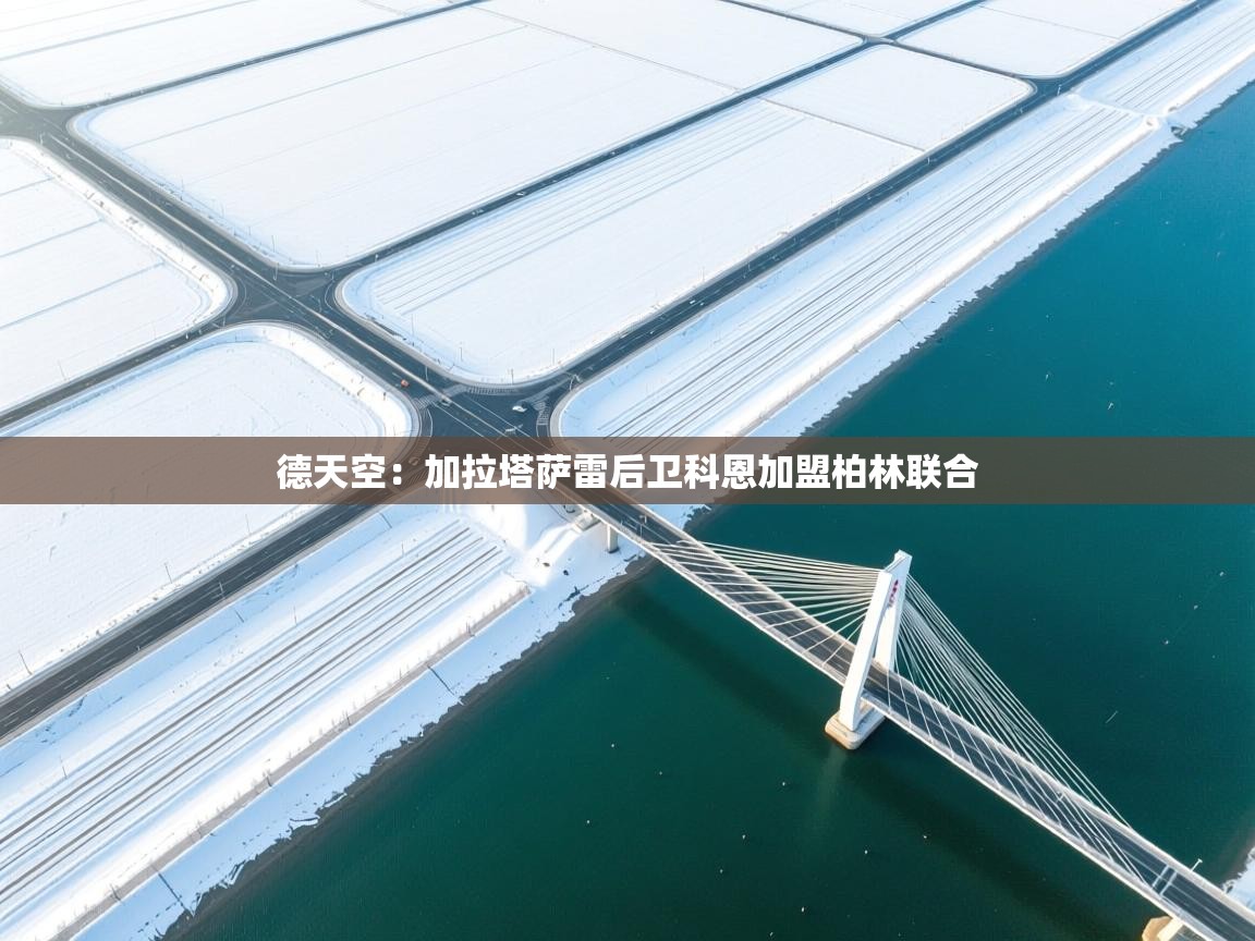 kaiyun体育入口-德天空：加拉塔萨雷后卫科恩加盟柏林联合  第3张