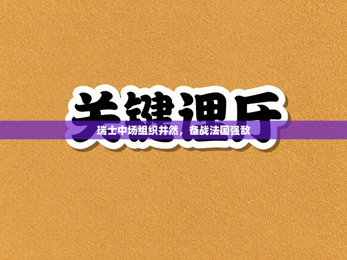 云开体育入口-瑞士中场组织井然，备战法国强敌