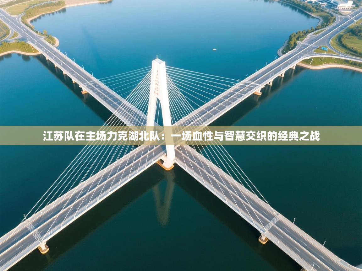 开云注册-江苏队在主场力克湖北队：一场血性与智慧交织的经典之战