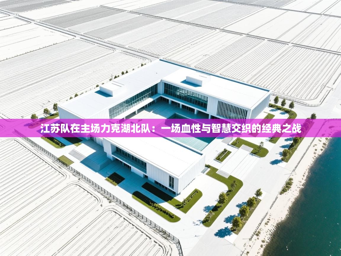 开云注册-江苏队在主场力克湖北队:一场血性与智慧交织的经典之战 第2张