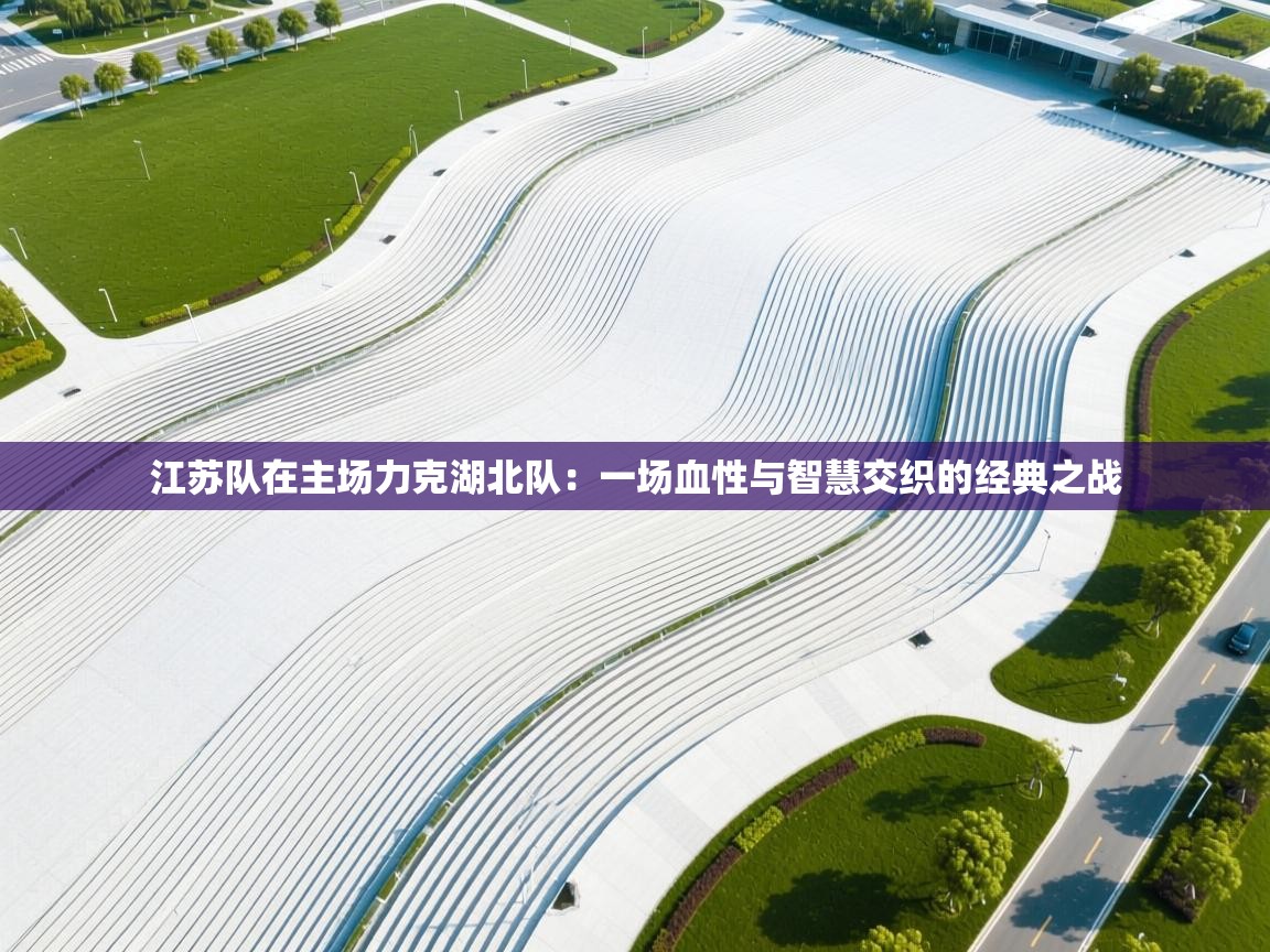 开云注册-江苏队在主场力克湖北队:一场血性与智慧交织的经典之战 第3张