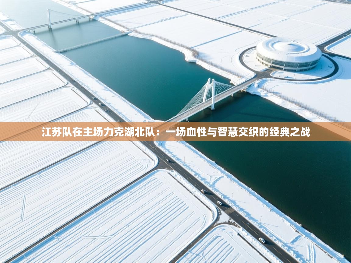 开云注册-江苏队在主场力克湖北队:一场血性与智慧交织的经典之战 第4张